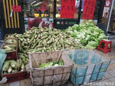 杭州聚众吃瓜视频大全下载,趣味瞬间，一网打尽